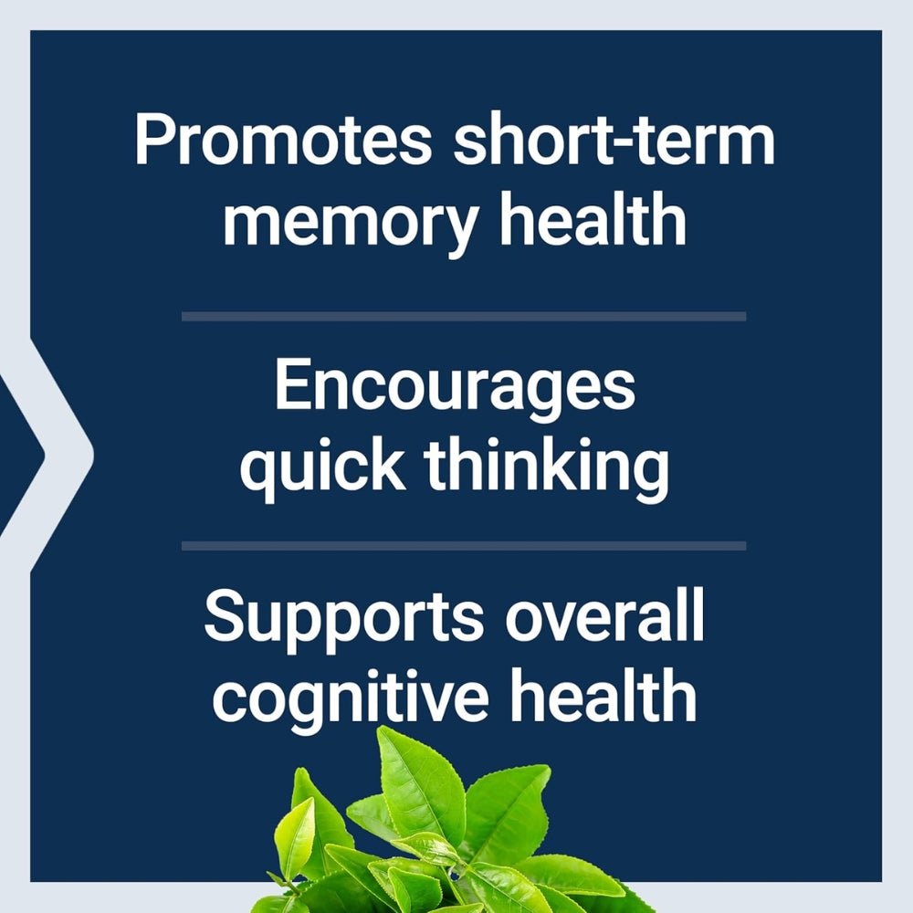 Life Extension Neuro - Mag Magnesium L - Threonate, 144 mg 90 veg caps 737870160397 - The Supplement Warehouse Pte Ltd