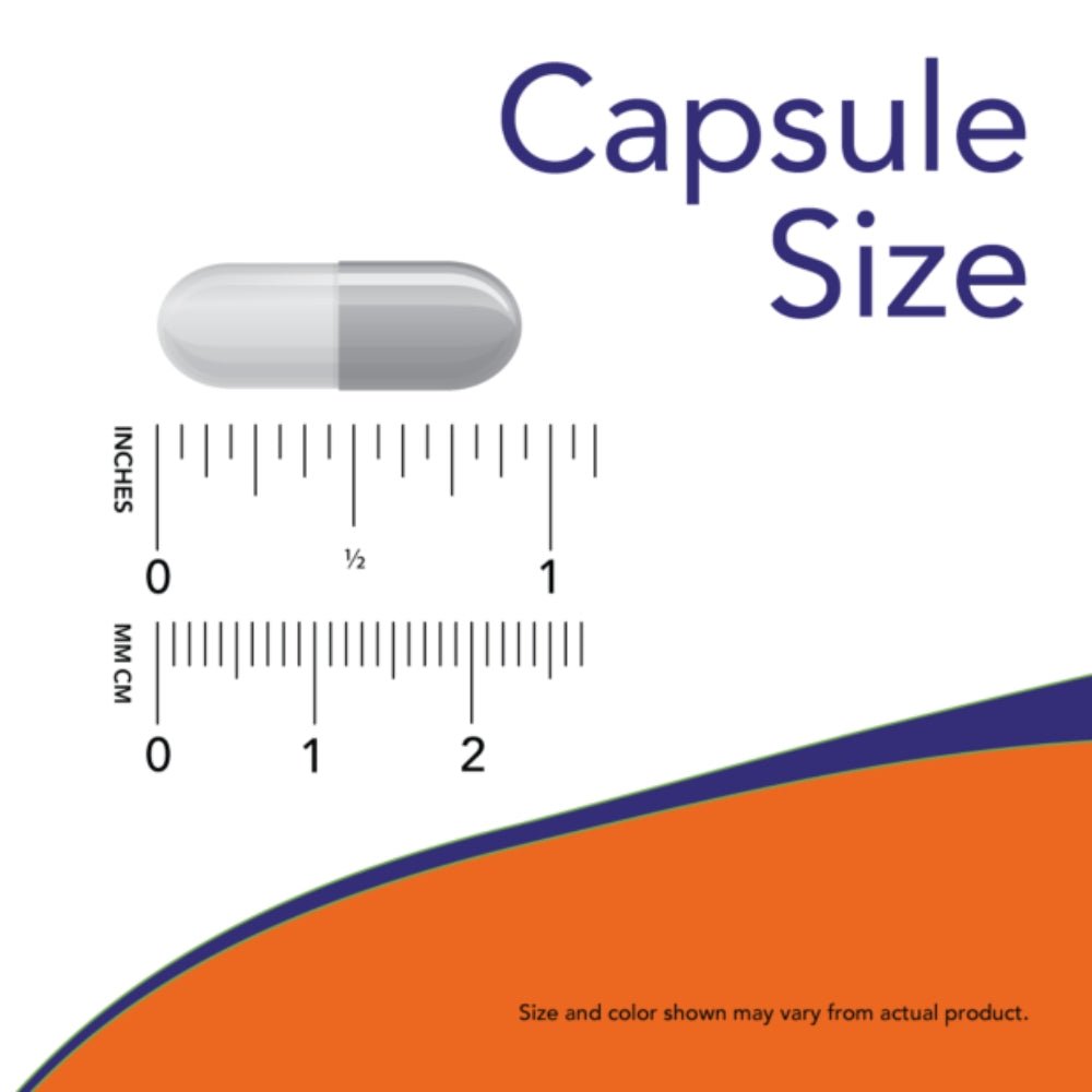 NOW GABA 750mg (promotes relaxation) 100 veg caps 733739000897 - The Supplement Warehouse Pte Ltd
