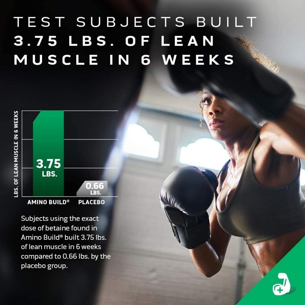 MuscleTech Amino Build 40 servings 631656715811- The Supplement Warehouse Pte Ltd