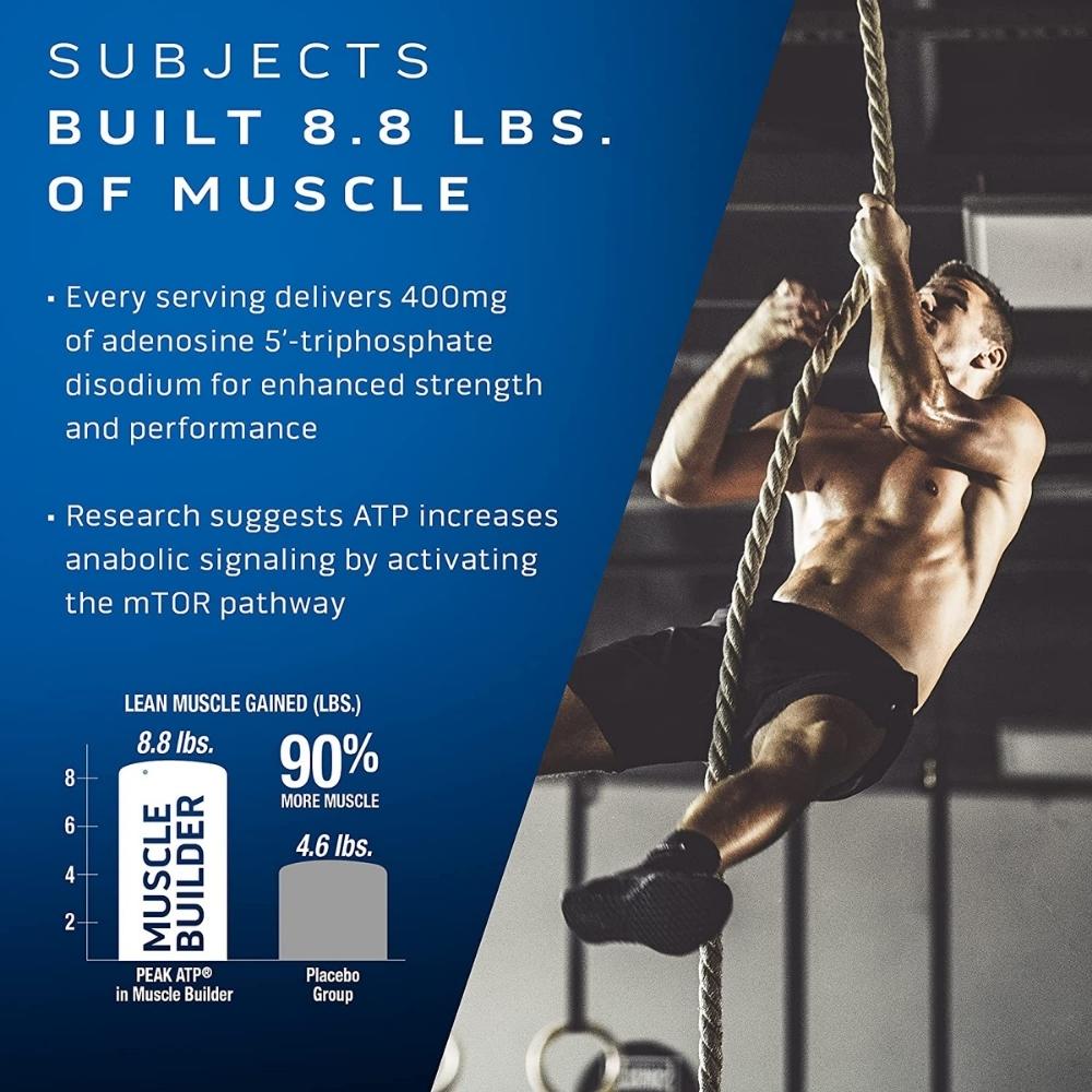 MuscleTech Muscle Builder 30 capsules 631656606805- The Supplement Warehouse Pte Ltd