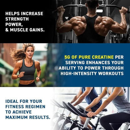 Applied Creatine Micronized Monohydrate (HALAL) 5056555206225 - The Supplement Warehouse Pte Ltd