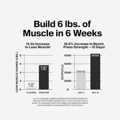 MuscleTech Creatine 400g (Exp Mar 2028) 631656705737 - The Supplement Warehouse Pte Ltd